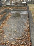 image of grave number 370245